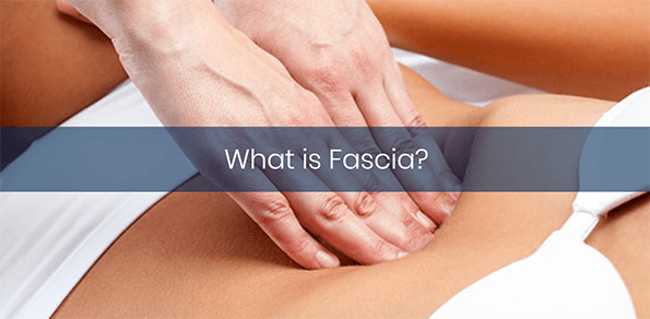 What is Fascia